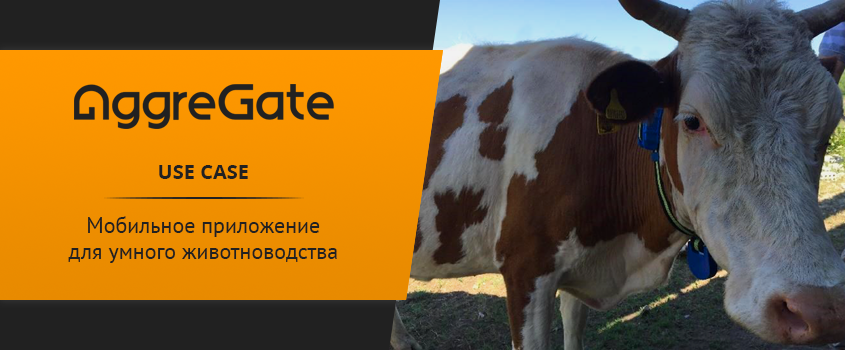 IoT Use Case. Мобильное приложение для умного животноводства