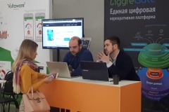 Tibbo Systems на Smart Energy Summit 2019